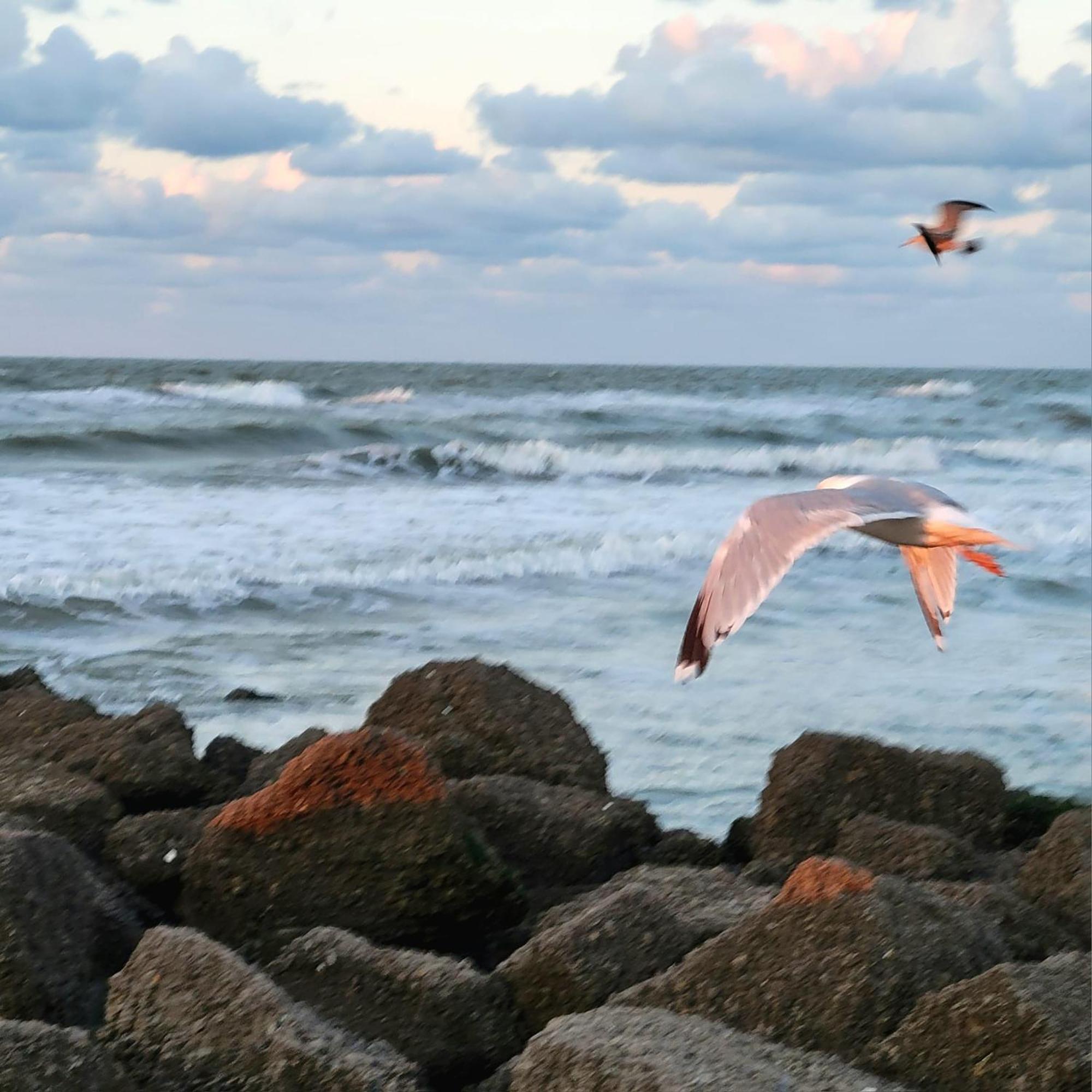 Caravan Aan Zee Arnani 미들케르케 외부 사진